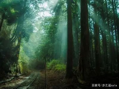 台湾旅游攻略_台湾旅游攻略台湾必买东西_台湾旅游攻略封面