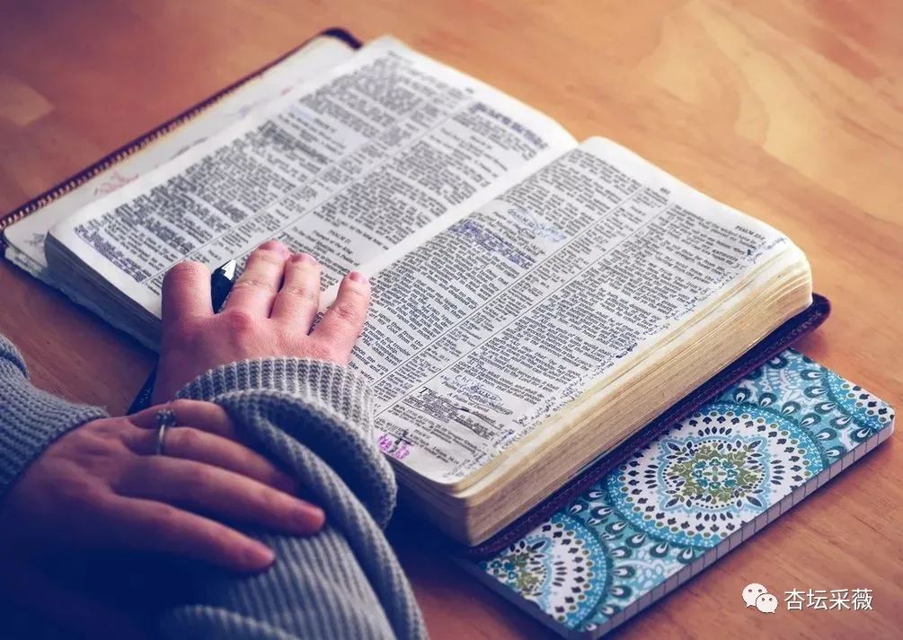 生活感悟：人到中年读《圣经》