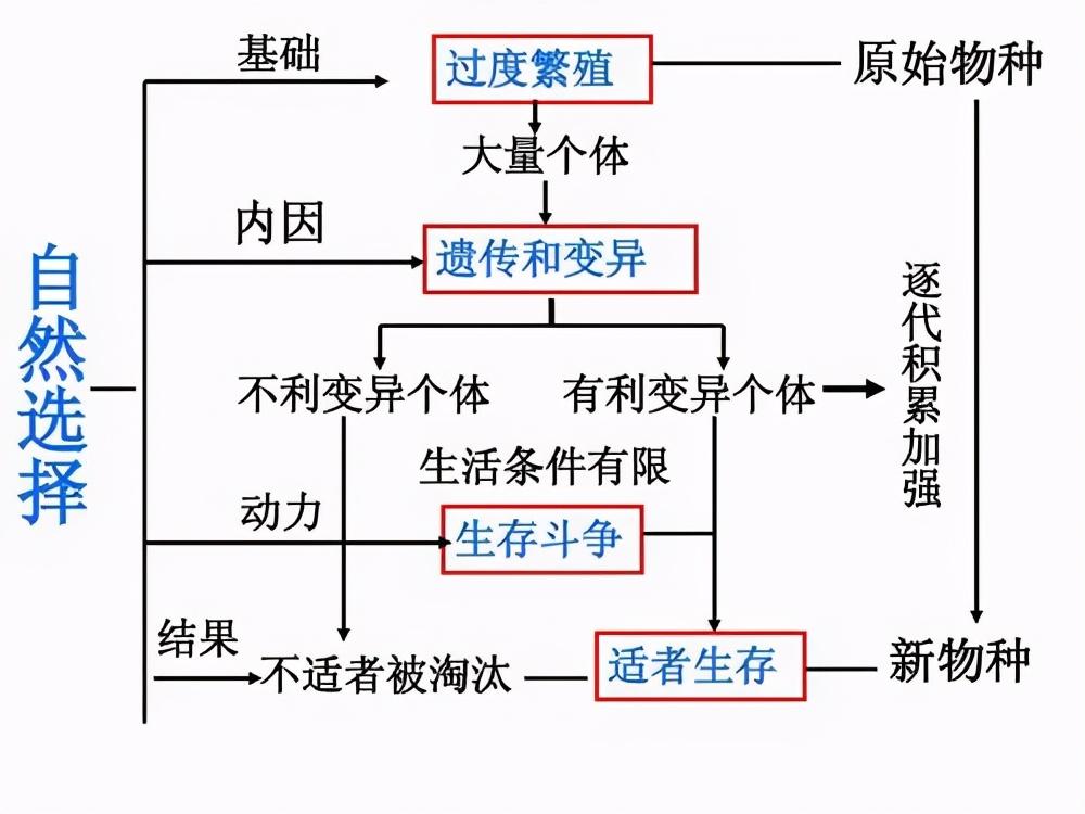 致命毒虫子图片_毒虫子_世界上最毒的虫子