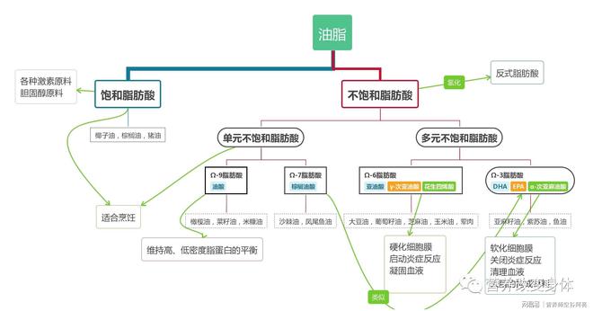 饱和脂肪和不饱和脂肪的区别？