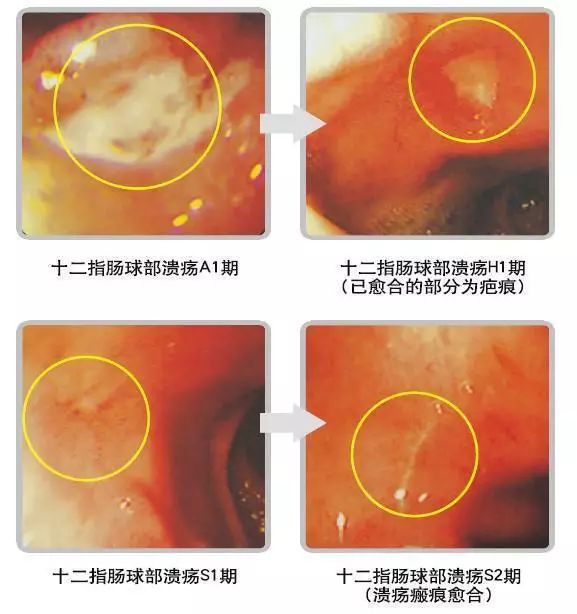 世界医学院目录中国_世界医学院校名录查询_世界医学院校名录