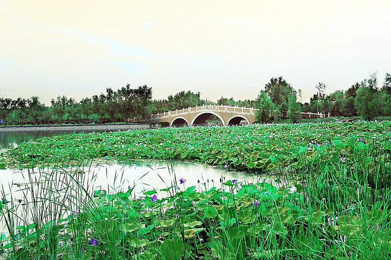 濮阳旅游景点大全_南安旅游十大景点大全_辉县旅游免费景点大全