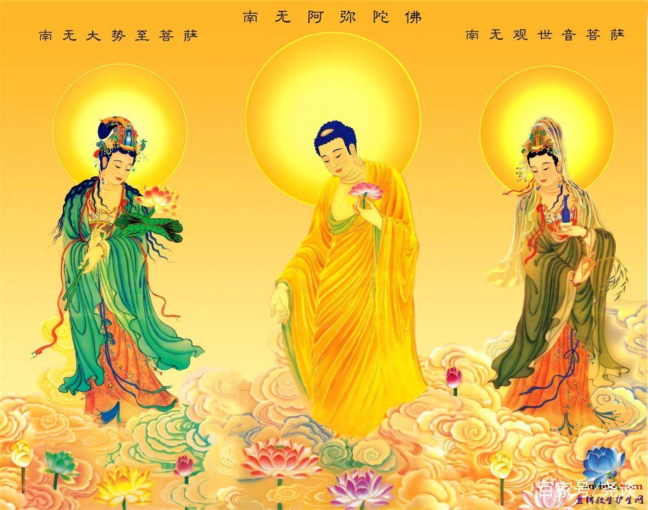 阿弥陀佛圣诞祝仪视频_阿弥陀佛圣诞日什么意思_阿弥陀佛圣诞日