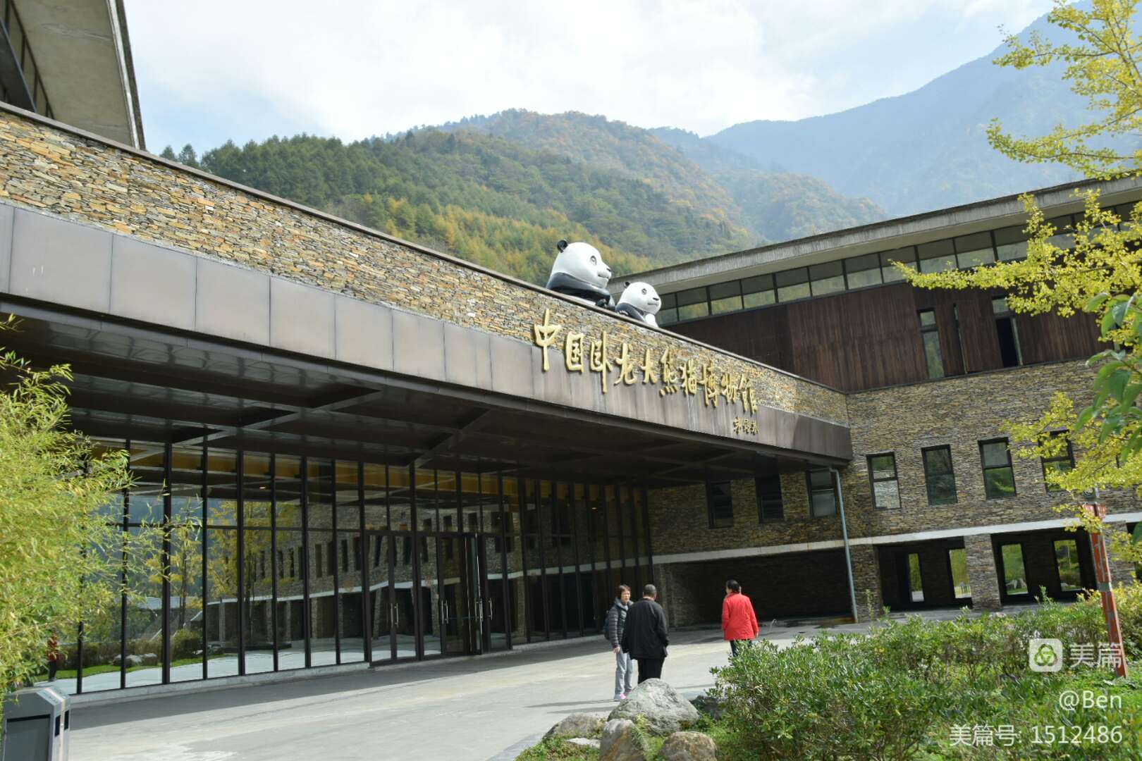四川卧龙大熊猫自然保护区官网_四川卧龙旅游_四川卧龙自然保护区的石灰华地貌