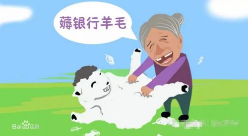 羊毛是什么意思介绍羊毛的由来和定义特征