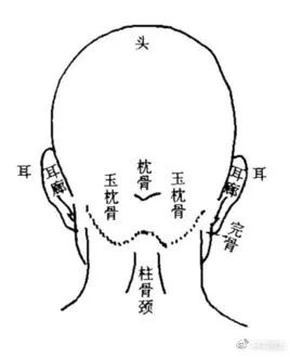 反骨是圆的还是长条的_什么是反骨_反骨图片