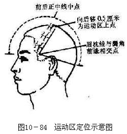 【图文详细教学】—各种症状的头针疗法
