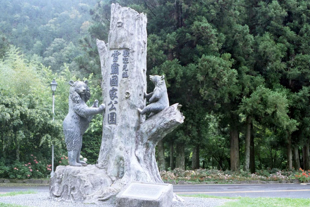 A structure on display by the trees