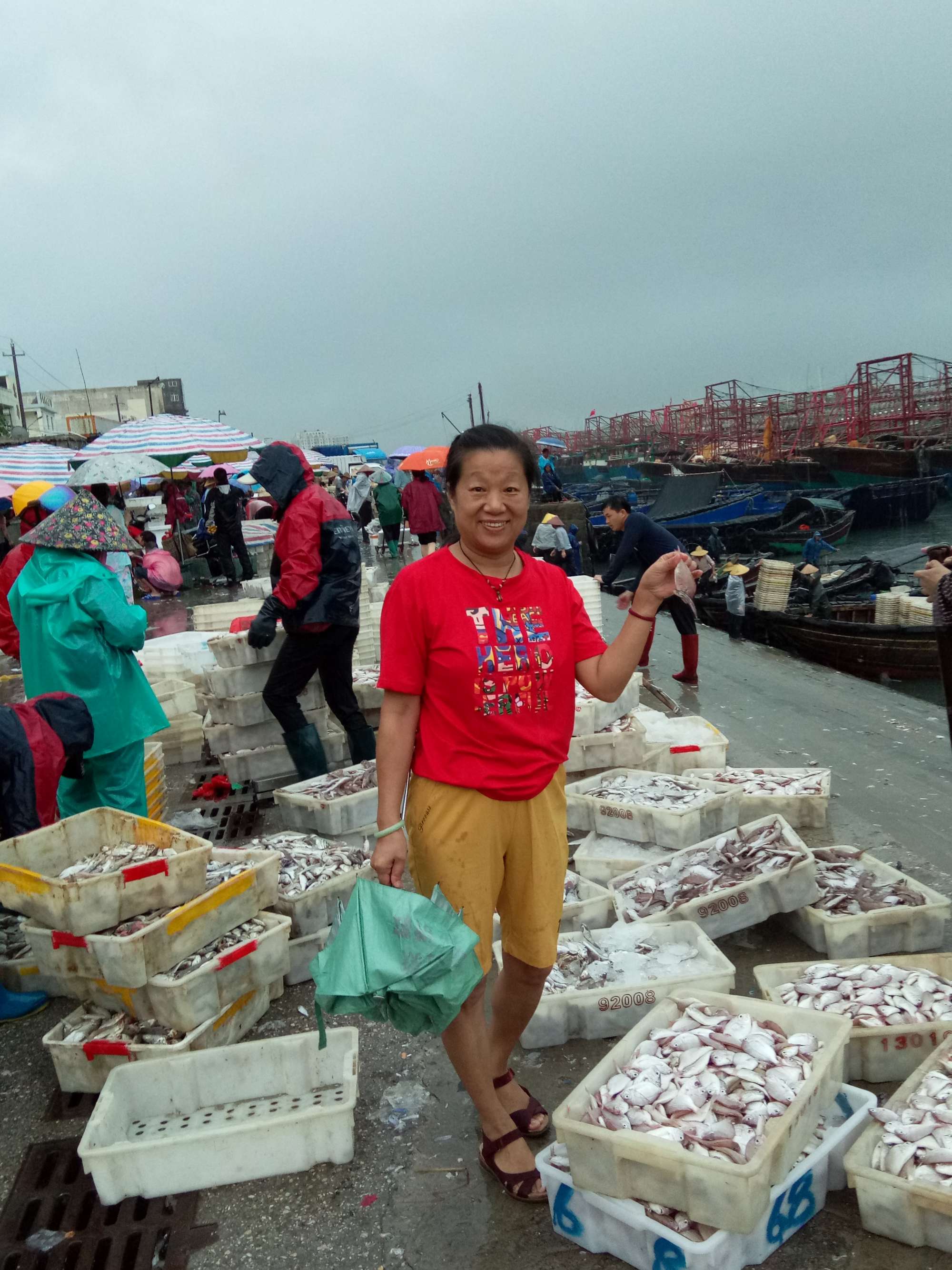 北海南宁机场大巴路线_北海旅游路线_旅游旅游英语口语路线咨询
