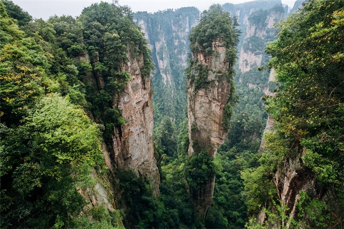 张家界旅游线路_张家界到韶山线路_重庆到张家界线路