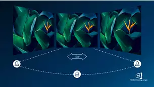 IPS LED 宽视角技术，确保图像和颜色精确度