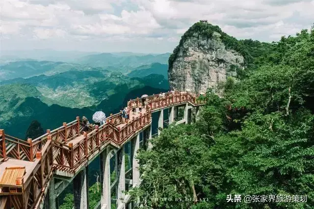 张家界三日游线路行程和价格_重庆到张家界自驾游线路_张家界旅游线路