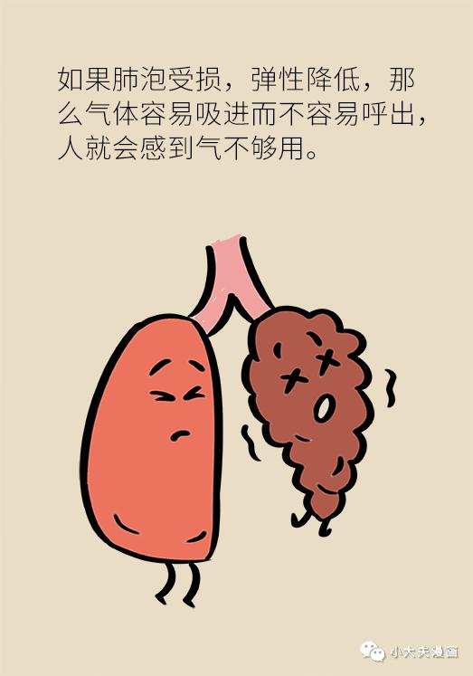 肺气肿吃什么药最有效_肺气虚的表现与症状_肺气