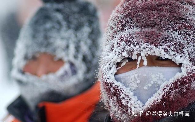 捷冷_冷了个冷冷雨萱_捷冷散热器