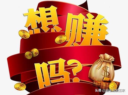药材市场_药材市场排名_药材市场在什么地方