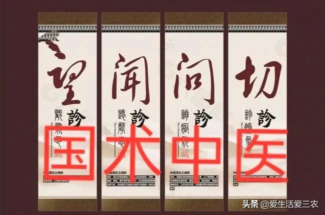 药材市场排名_药材市场_药材市场在什么地方