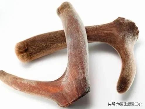 药材市场_药材市场在什么地方_药材市场排名