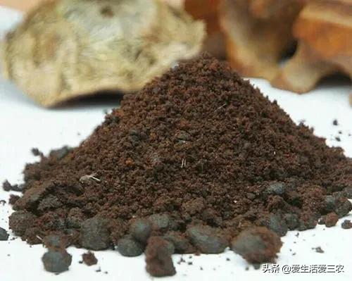 药材市场排名_药材市场_药材市场在什么地方