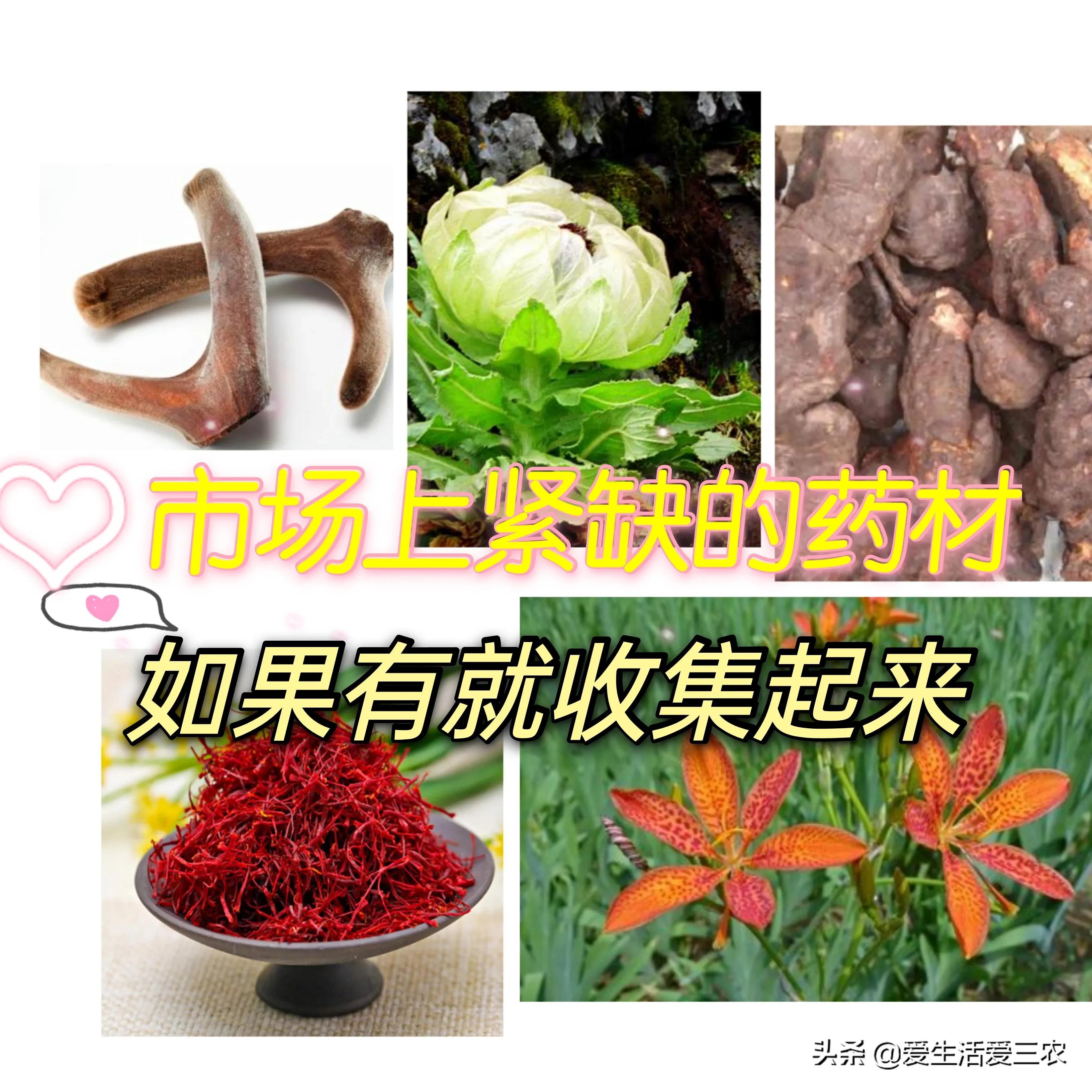 药材市场_药材市场在什么地方_药材市场排名
