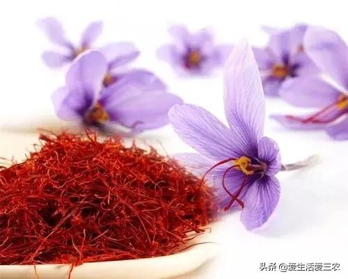 药材市场在什么地方_药材市场排名_药材市场