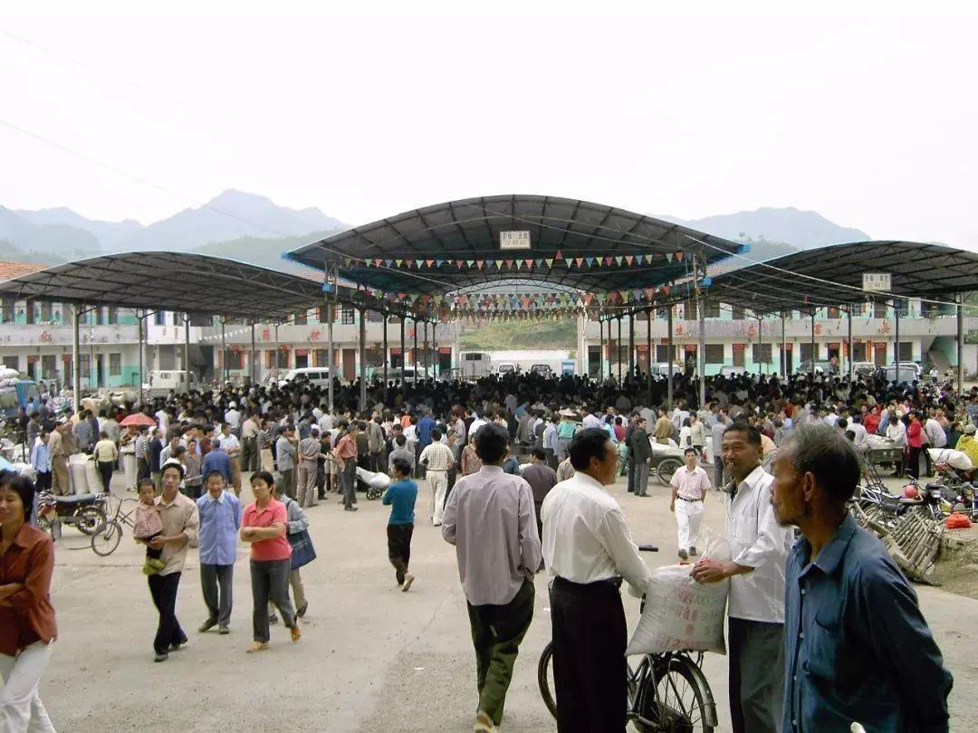 磐安药材市场：踏准时代节奏升级迭代