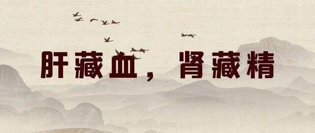 千古“生骨”名方：既能强筋骨，又能健脾胃，还能行气活血