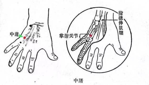 智丰先生健康生活报2017／10 / 27【导读】生物电经络疗法的15个有...