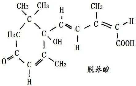 脱落酸的主要生理作用，在果实发育过程中脱落酸的变化情况