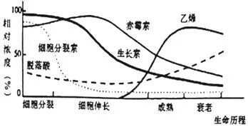 脱落酸的主要生理作用，在果实发育过程中脱落酸的变化情况