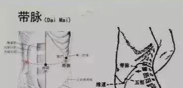 懂得这5条中医治病原则，你就能找到治病的“窍门”