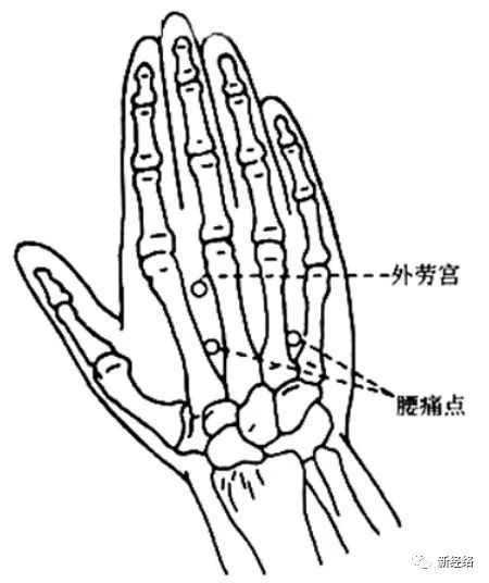 懂得这5条中医治病原则，你就能找到治病的“窍门”