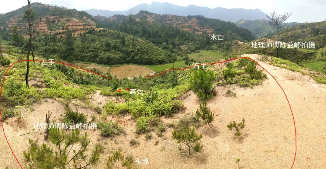 陈益峰：仙人大座，穴在脐腹和气海