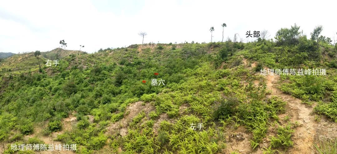 陈益峰：仙人大座，穴在脐腹和气海