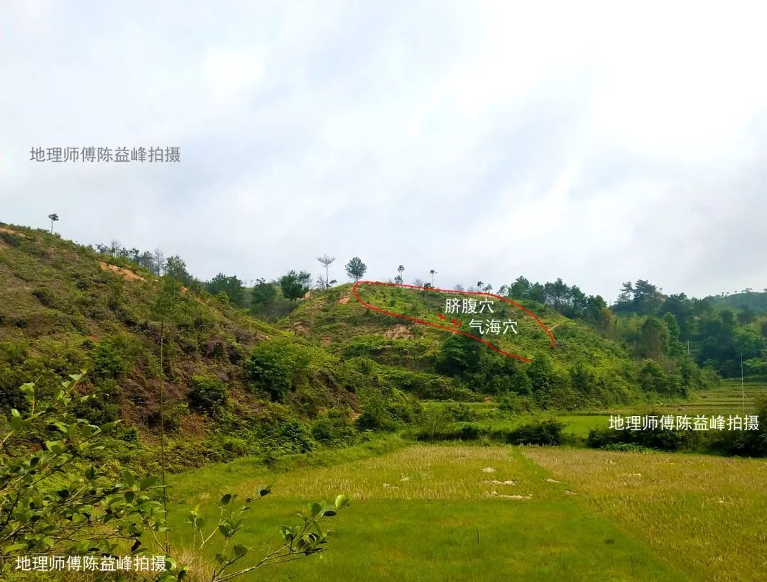 陈益峰：仙人大座，穴在脐腹和气海