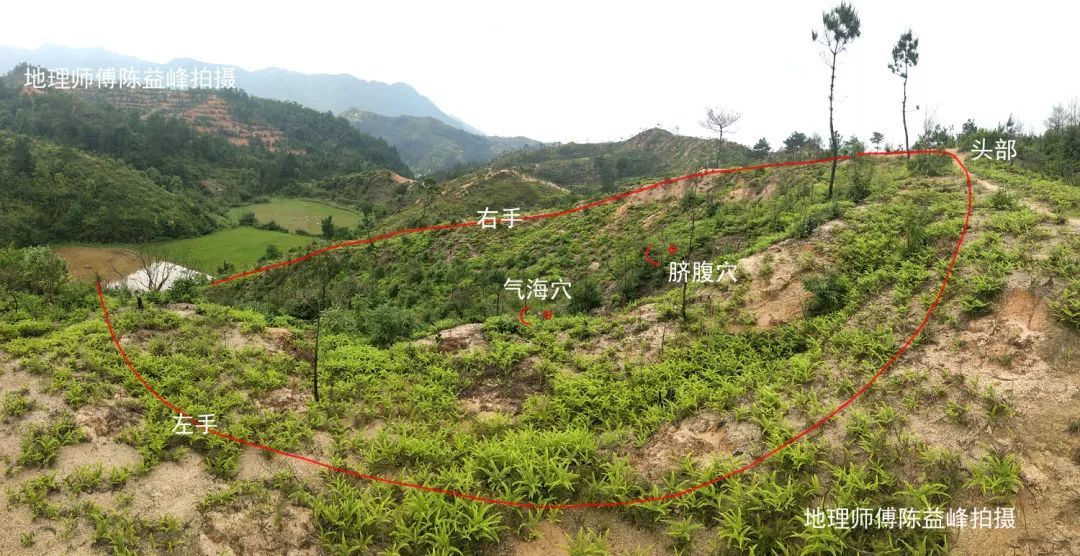 陈益峰：仙人大座，穴在脐腹和气海
