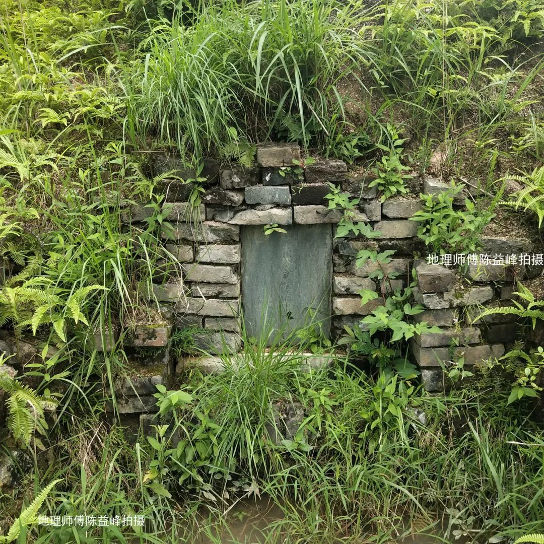 陈益峰：仙人大座，穴在脐腹和气海