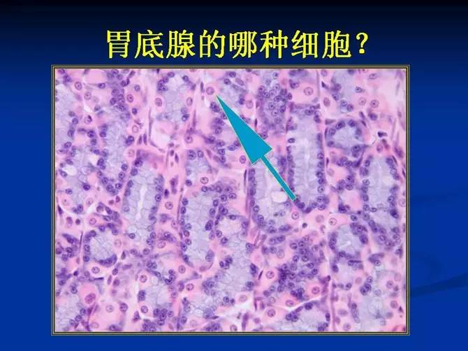 名医李玉奇治疗萎缩性胃炎的两则验方