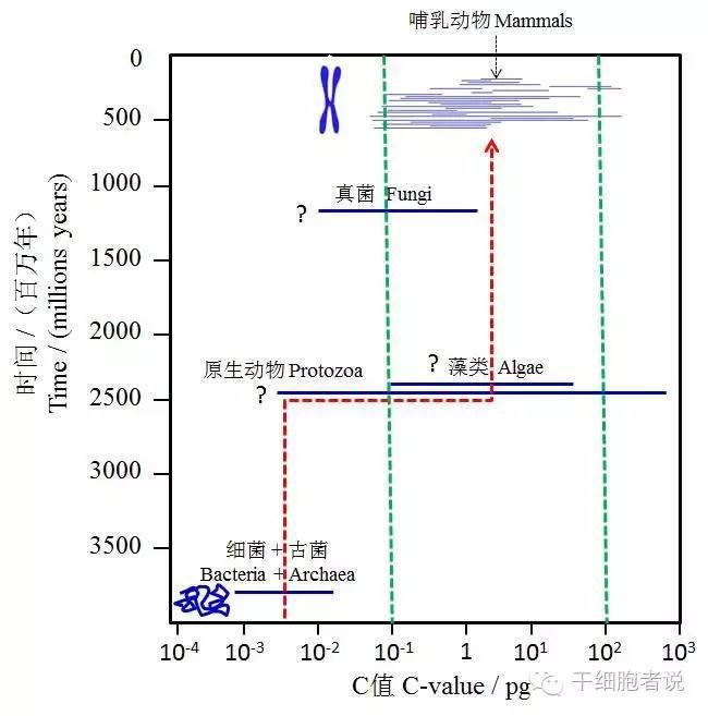 科学探秘：细胞核起源之谜