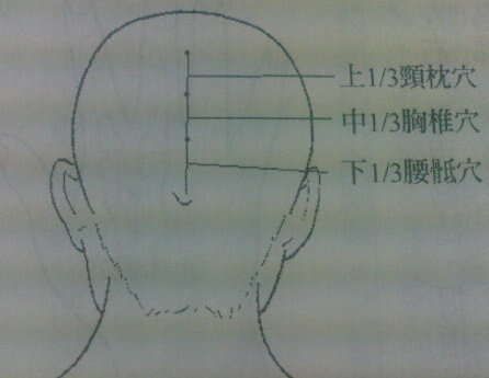 脊柱穴