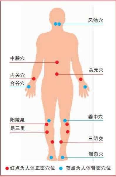 养生疗疾“万能穴”每天按一按，想生病都难