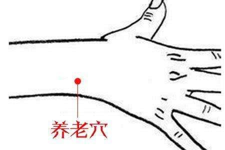 养生疗疾“万能穴”每天按一按，想生病都难