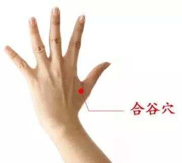 养生疗疾“万能穴”每天按一按，想生病都难