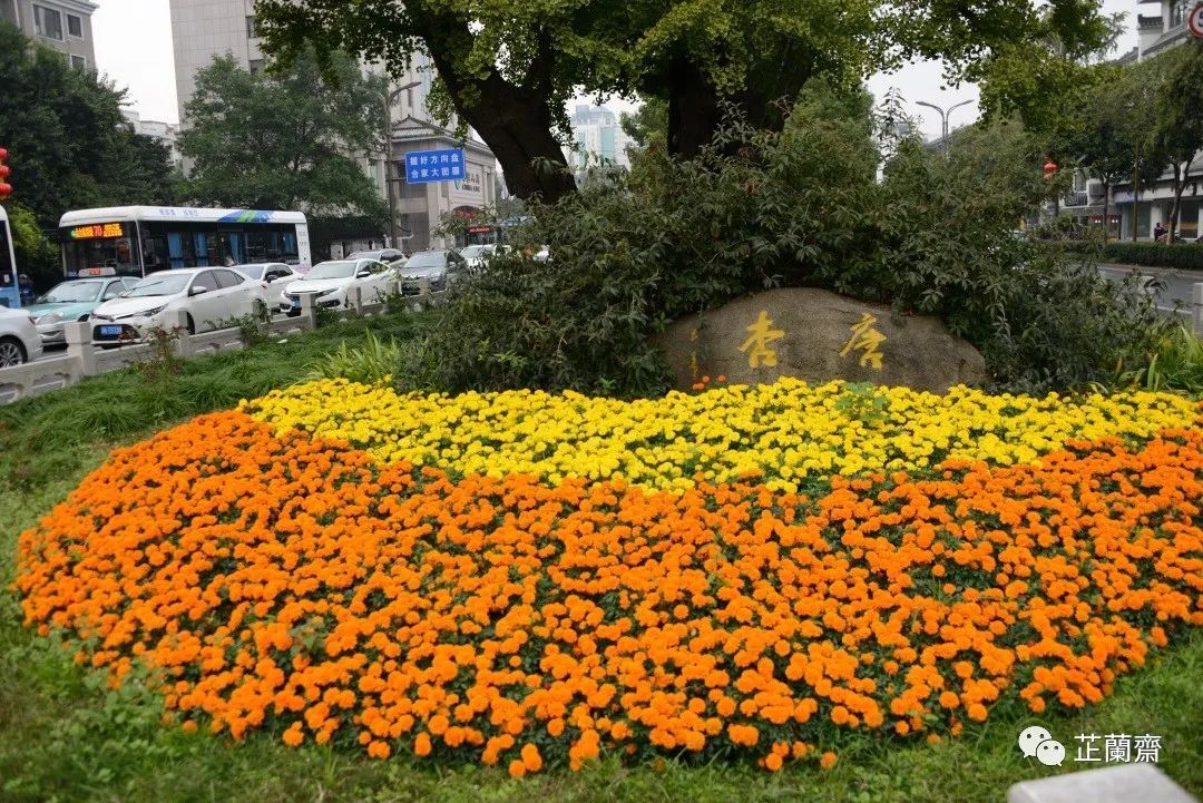 觅苏记扬州石塔寺：禁花论饭（下）