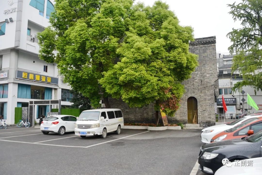 觅苏记扬州石塔寺：禁花论饭（下）