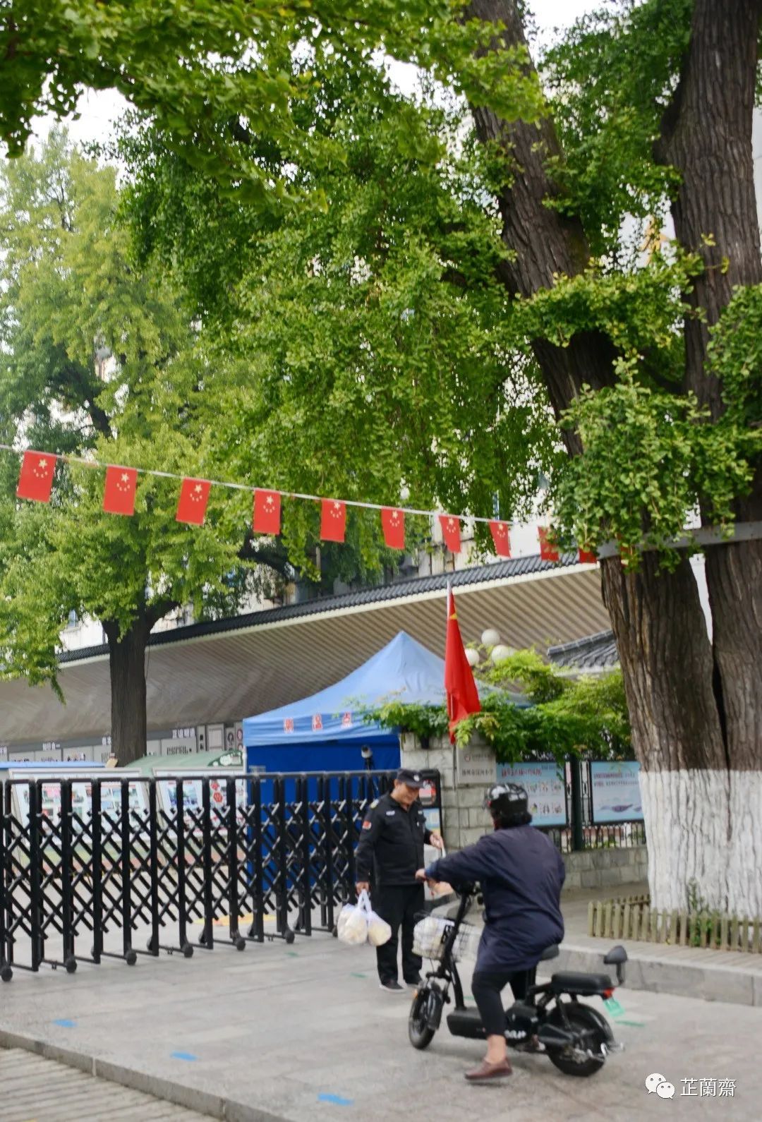 觅苏记扬州石塔寺：禁花论饭（下）