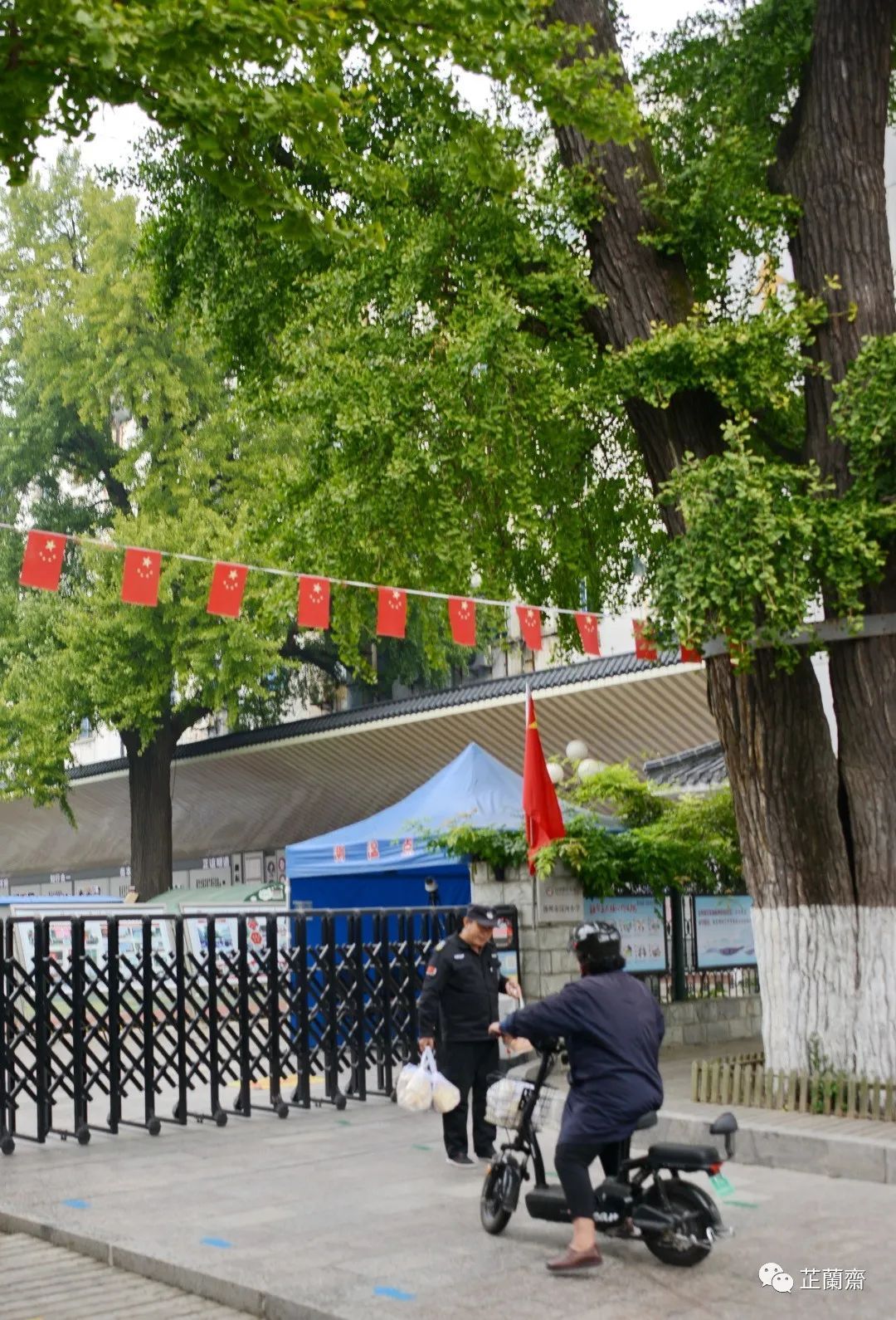 觅苏记扬州石塔寺：禁花论饭（下）