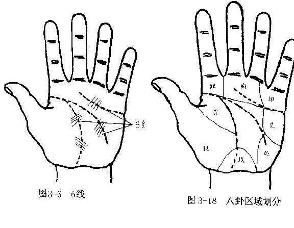 未见过的独门手诊健康 手掌十四线