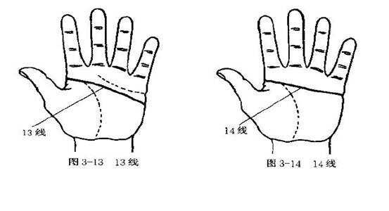 未见过的独门手诊健康 手掌十四线