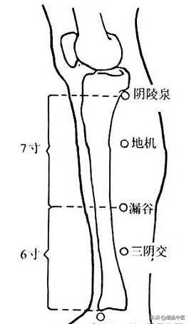 88个急救穴超清晰对照图，专穴专用，收藏