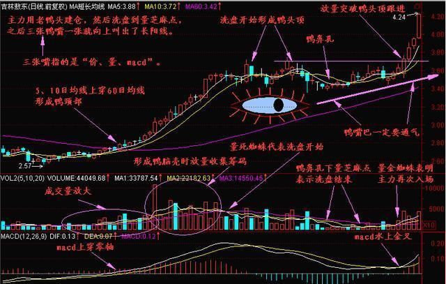 老鸭头选股公式（附选股公式）